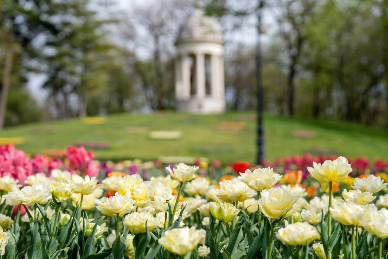 Târgul de Paște de la Craiova, deschis în câteva zile! Parcul „Romanescu”, plin de surprize