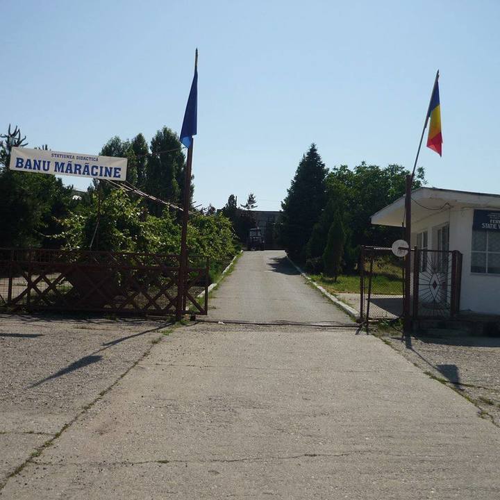 Centrul viticol Banu Mărăcine